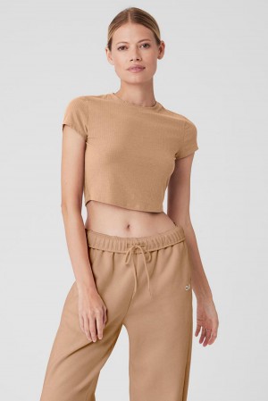 Alo Yoga Ribbed Sea Coast Cropped Sleeve Donna Tee Toasted Almond | Italia DPO-412630