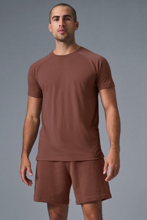 Alo Yoga Triumph Raglan Uomo Tee Chestnut | Italia BDU-827140