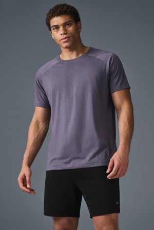 Alo Yoga Triumph Raglan Uomo Tee Italian Plum | Italia DBC-150327