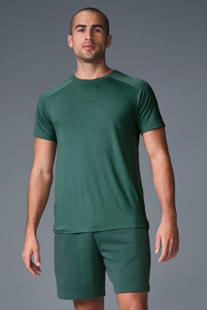 Alo Yoga Triumph Raglan Uomo Tee Winter Ivy | Italia MCA-360479