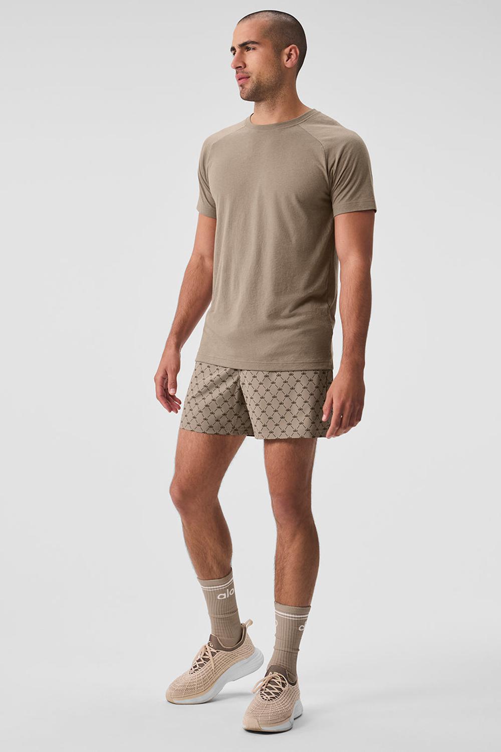Alo Yoga The Triumph Crew Neck Uomo Tee Gravel | Italia  AVU-904267