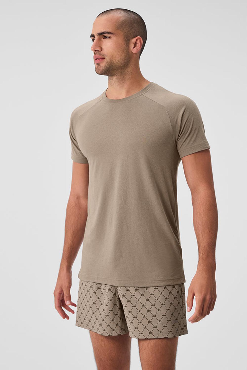 Alo Yoga The Triumph Crew Neck Uomo Tee Gravel | Italia  AVU-904267
