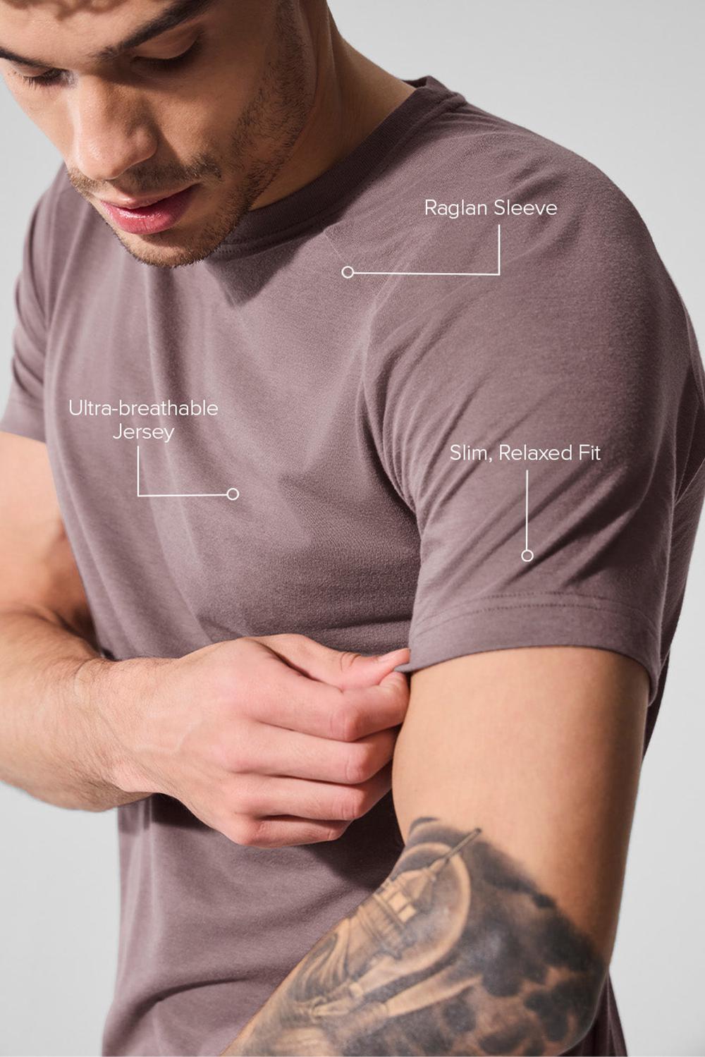 Alo Yoga Triumph Raglan Uomo Tee Mushroom | Italia  MQO-943805