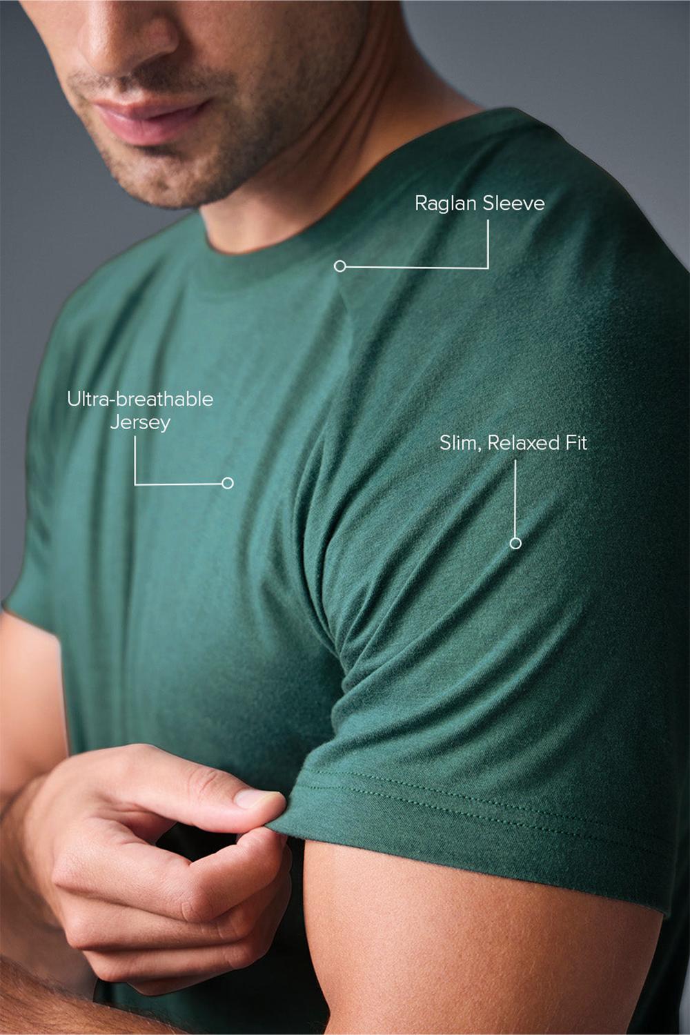 Alo Yoga Triumph Raglan Uomo Tee Winter Ivy | Italia  MCA-360479