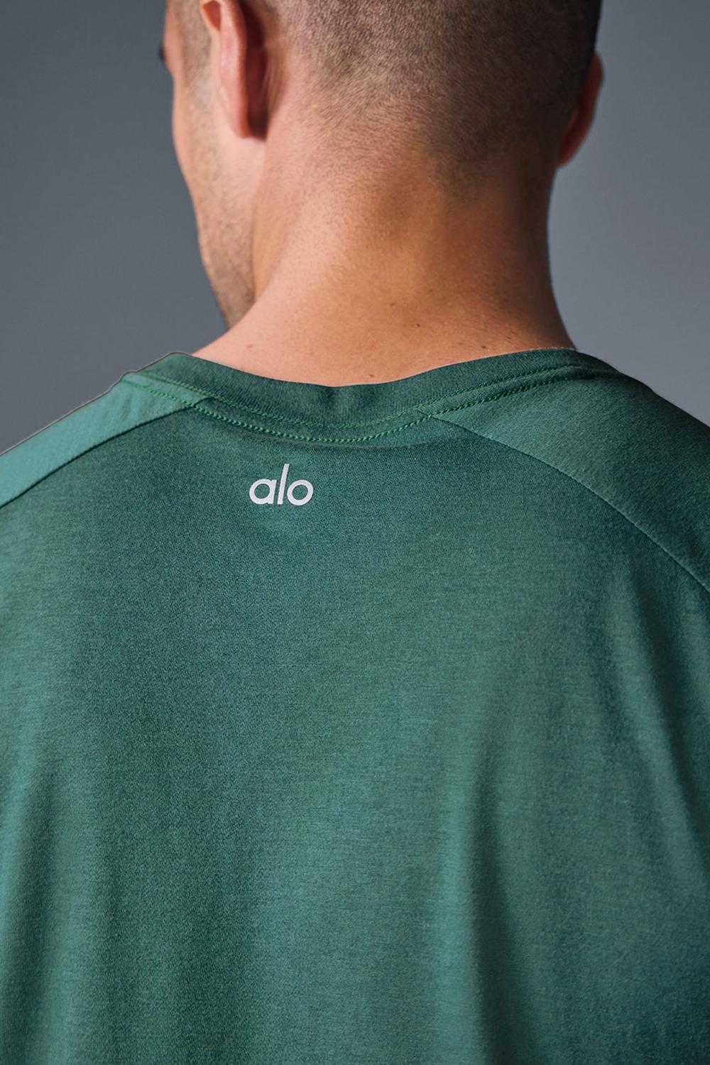 Alo Yoga Triumph Raglan Uomo Tee Winter Ivy | Italia  MCA-360479