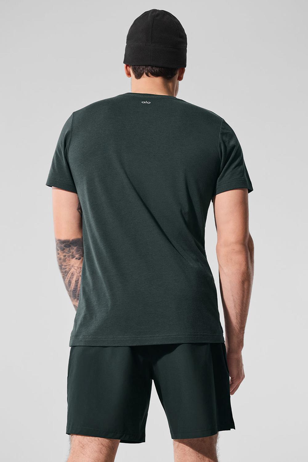 Alo Yoga Triumph Uomo Tee Verdi | Italia  YLW-947802